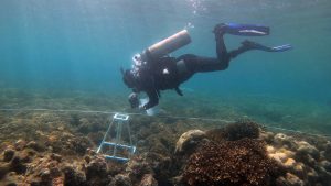 Monitoreo de arrecifes
