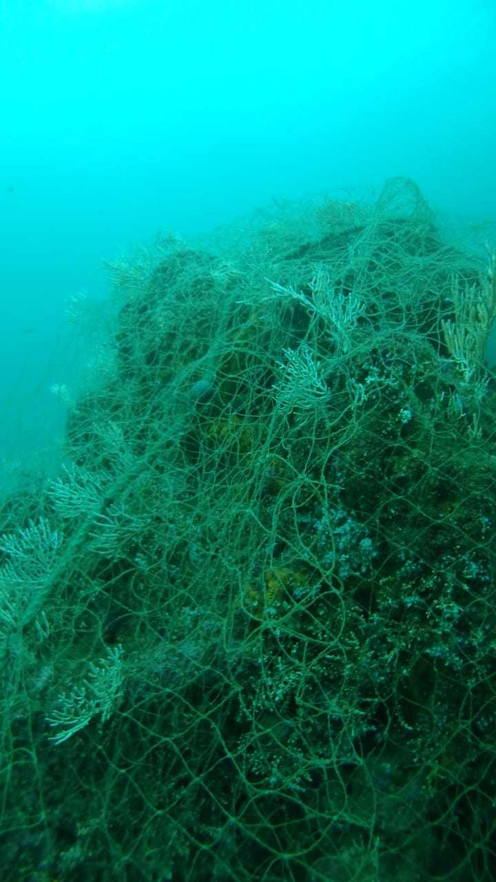 Ghost Net in Tribuga's Rocky Reef